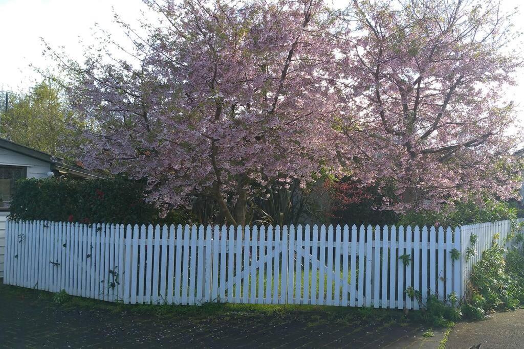 Sweet Guesthouse Waitara Exterior photo